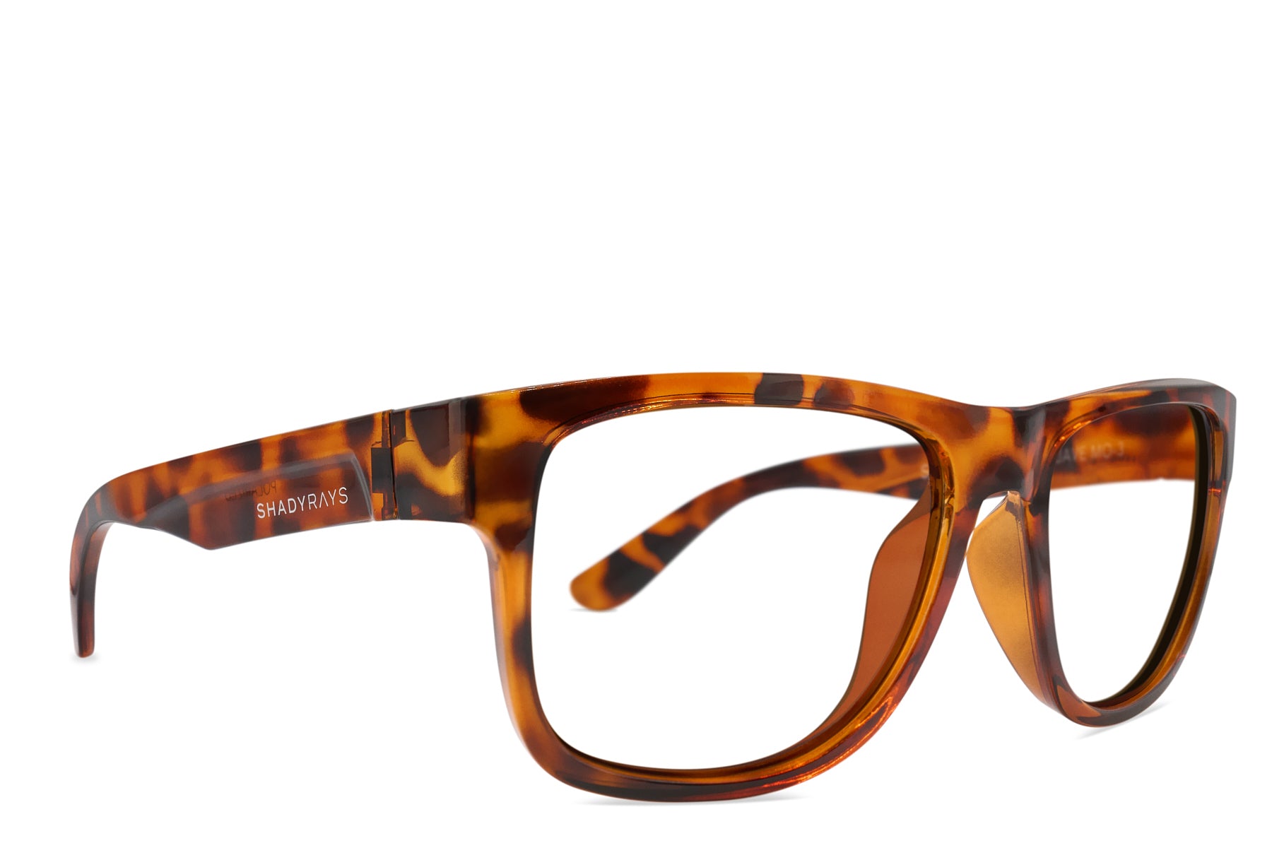Alternative view of Mojave Rx   Amber Tortoise