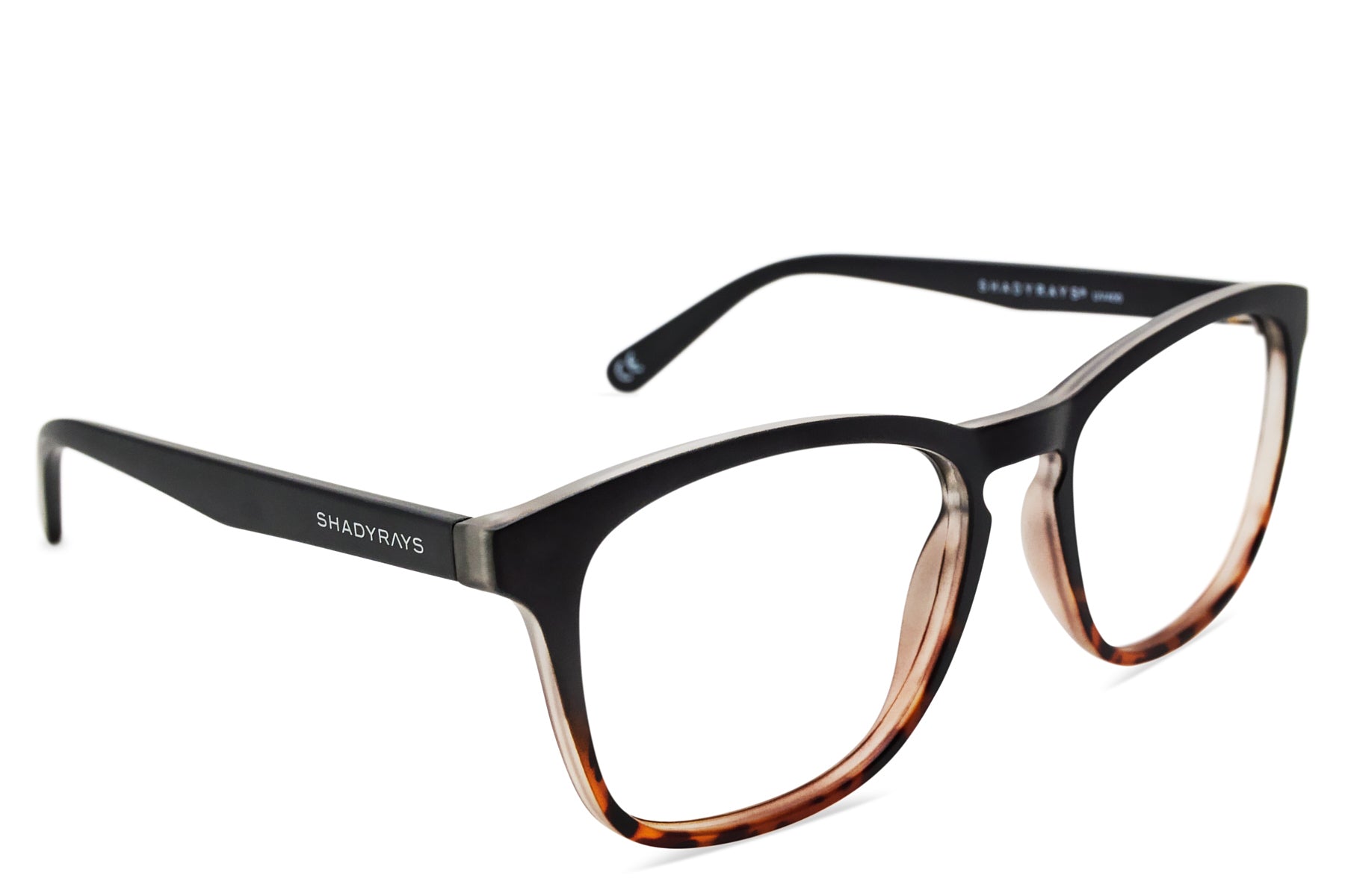 Alternative view of Cypress Rx   Black Tortoise